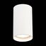 ST LUCE ST157.542.20 Светильник потолочный Белый LED 1*20W 4000K 1 600Lm Ra>90 60° IP44 D95xH150 220-265V, изображение 4