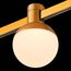 ST LUCE ST815.206.05 Магнитный трековый светильник FARM Золотистый LED 1*5W 3000K 89Lm Ra90 120 IP20 D75xH10, изображение 10