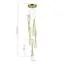 ST LUCE SL6205.303.05 Светильник подвесной ST-Luce Латунь/Прозрачный LED 1*55W 4000K, изображение 5