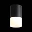 ST LUCE ST100.402.10 Светильник потолочный Черный LED 1*10W 3000K 780Lm Ra>80 120° D78xH135 170-240VV