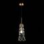 ST LUCE SL1016.203.01 Светильник подвесной ST-Luce Золотистый/Золотистый, Прозрачный E27 1*60W, изображение 5