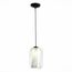 ST LUCE SL1169.103.01 Подвес ST-Luce Черный/Прозрачный, Белый E27 1*40W, изображение 5