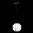 ST LUCE SL1169.113.01 Подвес ST-Luce Черный/Прозрачный, Белый E27 1*40W, изображение 5