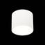 ST LUCE ST113.542.09 Светильник потолочный Белый LED 1*9W 4000K 702Lm Ra>90 120° IP20 D88xH75 170-240V, изображение 4
