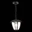 ST LUCE SL081.403.01 Светильник уличный подвесной ST-Luce Черный/Черный, Прозрачный E27 1*40W, изображение 5