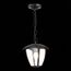 ST LUCE SL081.403.01 Светильник уличный подвесной ST-Luce Черный/Черный, Прозрачный E27 1*40W, изображение 5