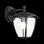 ST LUCE SL081.411.01 Светильник уличный настенный ST-Luce Черный/Черный, Прозрачный E27 1*40W, изображение 5