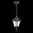 ST LUCE SL082.203.01 Светильник уличный подвесной ST-Luce Бронза/Бронза, Прозрачный E27 1*60W DOMENICO, изображение 3