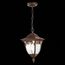 ST LUCE SL083.703.01 Светильник уличный подвесной ST-Luce Кофейный/Кофейный, Прозрачный E27 1*60W, изображение 5