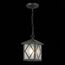 ST LUCE SL084.403.01 Светильник уличный подвесной ST-Luce Черный/Черный, Прозрачный E27 1*60W, изображение 6