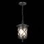 ST LUCE SL085.403.01 Светильник уличный подвесной ST-Luce Черный/Черный, Прозрачный E27 1*60W LORNE, изображение 2