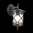 ST LUCE SL085.411.01 Светильник уличный настенный ST-Luce Черный/Черный, Прозрачный E27 1*60W LORNE, изображение 2