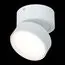 ST LUCE ST651.532.14 Светильник потолочный поворотный Белый LED 1*14W 3000K 1 100Lm Ra>90 120° IP20 D105xH88, изображение 5