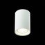 ST LUCE ST114.507.01 Светильник потолочный Белый GU10 1*50W  IP20 L65xW65xH93 220V Без ламп, изображение 4