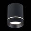 ST LUCE ST115.442.12 Светильник потолочный Черный LED 1*12W 4000K 840Lm Ra>90 120° IP20 D79xH100 170-240V, изображение 4