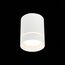 ST LUCE ST115.542.07 Светильник потолочный Белый LED 1*7W 4000K 490Lm Ra>90 120° IP20 D79xH100 170-240V, изображение 6