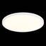 ST LUCE ST601.532.48 Светильник настенно-потолочный Белый LED 1*48W 3000K 4 320Lm Ra>80 120° IP20 D600xH25 1, изображение 4