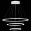ST LUCE ST603.543.114 Светильник подвесной ST-Luce Белый/Белый LED 1*114W 4000K, изображение 4