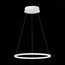 ST LUCE ST603.543.22 Светильник подвесной ST-Luce Белый/Белый LED 1*22W 4000K, изображение 5