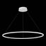 ST LUCE ST603.543.46 Светильник подвесной ST-Luce Белый/Белый LED 1*46W 4000K, изображение 4