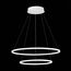 ST LUCE ST603.543.56 Светильник подвесной ST-Luce Белый/Белый LED 1*56W 4000K, изображение 4