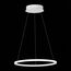 ST LUCE ST604.543.22 Светильник подвесной ST-Luce Белый/Белый LED 1*22W 4000K, изображение 5