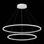 ST LUCE ST605.543.91 Светильник подвесной ST-Luce Белый/Белый LED 1*91W 4000K, изображение 5