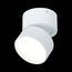 ST LUCE ST651.542.09 Светильник потолочный поворотный Белый LED 1*9W 4000K 720Lm Ra>90 120° IP20 D85xH87 170, изображение 5