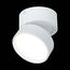 ST LUCE ST651.542.14 Светильник потолочный поворотный Белый LED 1*14W 4000K 1 100Lm Ra>90 120° IP20 D105xH88, изображение 5