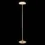 ST LUCE SL6002.205.01 Торшер ST-Luce Золотистый/Янтарный LED 1*7W 4000K, изображение 4