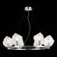 ST LUCE SL1175.103.06 Люстра подвесная ST-Luce Хром/Прозрачный E14 6*40W, изображение 4