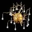 ST LUCE SL1651.201.02 Бра ST-Luce Золотистый/Золотистый G9 2*5W, изображение 4