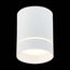 ST LUCE ST115.532.12 Светильник потолочный Белый LED 1*12W 3000K 840Lm Ra>90 120° IP20 D79xH100 170-240V, изображение 5