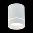 ST LUCE ST115.542.12 Светильник потолочный Белый LED 1*12W 4000K 840Lm Ra>90 120° IP20 D79xH100 170-240V, изображение 4