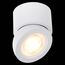 ST LUCE ST654.542.10 Светильник потолочный Белый LED 1*10W 4000K 850Lm Ra>90 38° IP20 D95xH96 180-240V, изображение 7