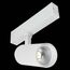 ST LUCE ST660.596.10 Светильник трековый SMART Белый LED 1*10W 2700K-6000K 535Lm Ra>90 36° IP20 D40xH90 220V, изображение 5