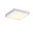 EVOLUCE SLE200212-01 Светильник потолочный Белый/Белый LED 1*20W 4000K