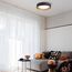 EVOLUCE SLE201112-01 Светильник потолочный Серый, Золото/Белый LED 1*24W 4000K, изображение 3
