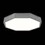 EVOLUCE SLE200872-01 Светильник потолочный Серый/Белый LED 1*45W 3000K/4000K/6000K, изображение 3