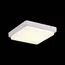 EVOLUCE SLE200212-01 Светильник потолочный Белый/Белый LED 1*20W 4000K, изображение 4