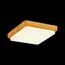 EVOLUCE SLE200202-01 Светильник потолочный Светло-коричневый/Белый LED 1*20W 4000K, изображение 4