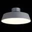 EVOLUCE SLE600272-01 Светильник потолочный Серый/Белый LED 1*30W 3000K, изображение 5