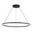 ST LUCE SL1018.413.01 Светильник подвесной ST-Luce черный/прозрачный LED 1*54W 4000K