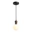 ST LUCE SL6226.403.01 Светильник подвесной ST-Luce Черный/Белый G9 1*5W 4000K