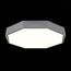 EVOLUCE SLE200872-01 Светильник потолочный Серый/Белый LED 1*45W 3000K/4000K/6000K, изображение 3