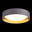 EVOLUCE SLE201112-01 Светильник потолочный Серый, Золото/Белый LED 1*24W 4000K, изображение 5