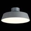 EVOLUCE SLE600272-01 Светильник потолочный Серый/Белый LED 1*30W 3000K, изображение 5