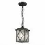 ST LUCE SL084.403.01 Светильник уличный подвесной ST-Luce Черный/Черный, Прозрачный E27 1*60W