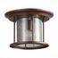 ST LUCE SL080.402.01 Светильник уличный потолочный ST-Luce Темный кофе/Прозрачный, Темный кофе E27 1*60W, изображение 2