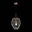 ST LUCE SL1016.213.01 Светильник подвесной ST-Luce Золотистый/Золотистый, Прозрачный E27 1*60W, изображение 4